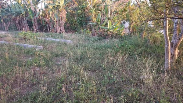 Terreno 0 por $ 8.000 en Pinar del Río/Viñales